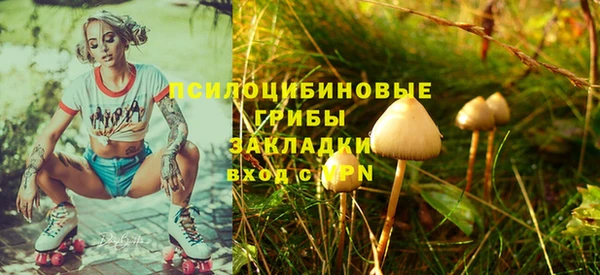 молекула духа Арсеньев