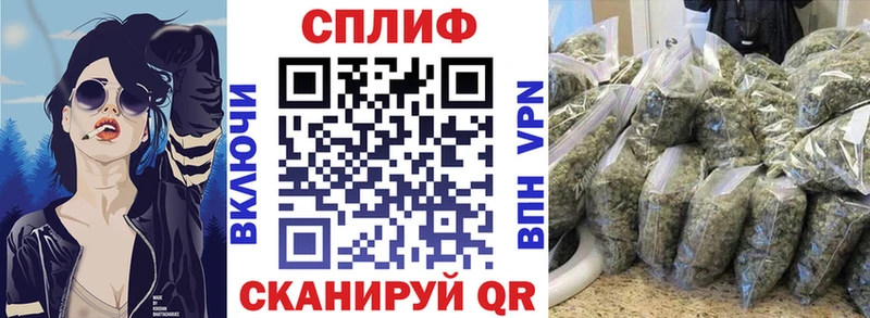 Марихуана планчик  Хадыженск 
